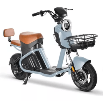 Bicicleta Elétrica WD-2  Autopropelido 1000W