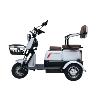 Triciclo Eletrico Duos Fenix 750W 48V